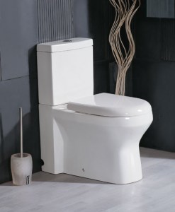 toilet-1